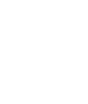Logo BDG